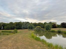 Top pond