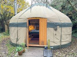 The orchard yurt