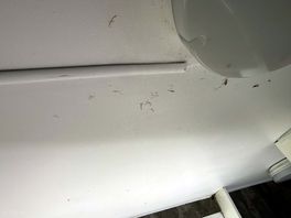 The dirt on ceiling mould and cobwebs