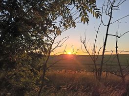 Sunset from site