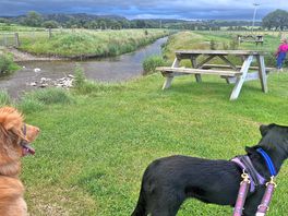 River edge