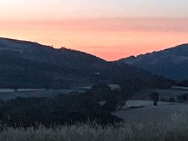 Perfect evening sky