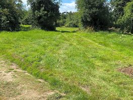 Orchard