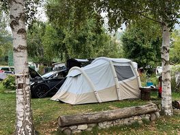 Our pitch