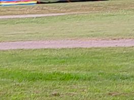 Plenty of room on your pitch