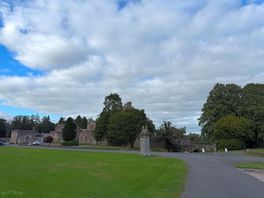 The grounds