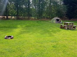Spacious pitches.