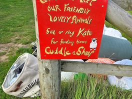 Signage for interacting with some of the animals on site