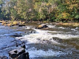 Rapids, river usk