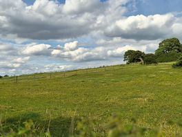 View from site