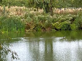 View to another lake