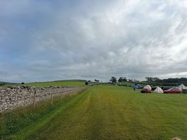 Camping field