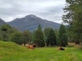 Next to the campsite