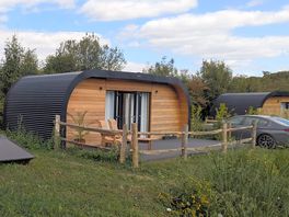 View of mallard pod