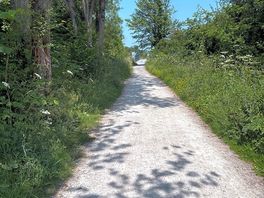 Tissington trail which you can access via a gate directly from the site.