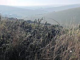 East sussex valleys