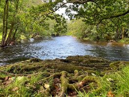 The beautiful river esk