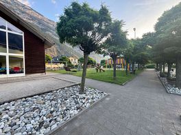 Campsite