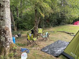 A pitch near the trees.
