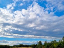 View at the fields.