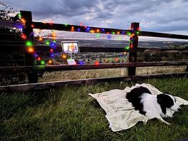 The fence came in handy for holding the night's entertainment