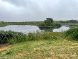 Pond on the campsite