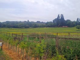 View of church from back of motorhome on site
