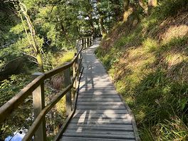 Great board walk