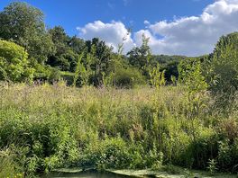 Lovely view from our tent