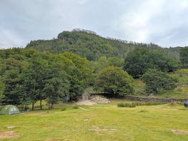 Another view of the campsite
