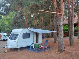 Woodland pitch