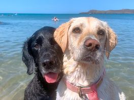 George and jasmine love porthsele beach.