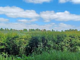 Countryside views