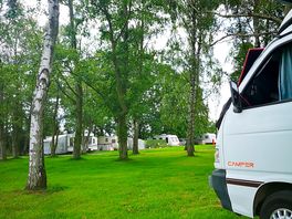 Flat site with either option of open air or in the trees