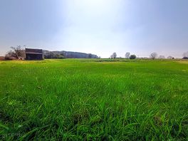 Open meadow