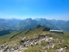 View from the too