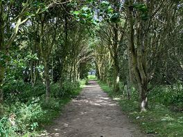 The walk to the beach.