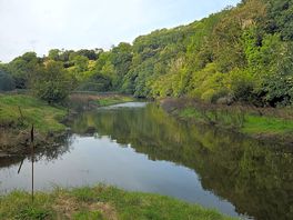 View up the river