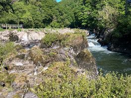 The falls