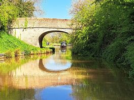 Beautiful canal view from the electric boat