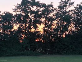Great sunset