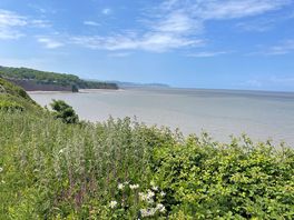 View from picnic spot.