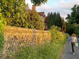 Evening walk along bardwell road