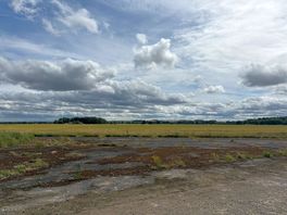 Across the fields from the dog walk