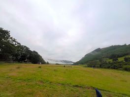 Cae llwyd campsite