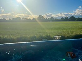 Sunset view