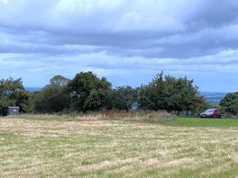 Field