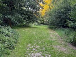 Woodlands