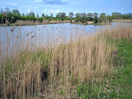 Large lake