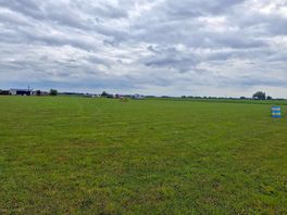 Field